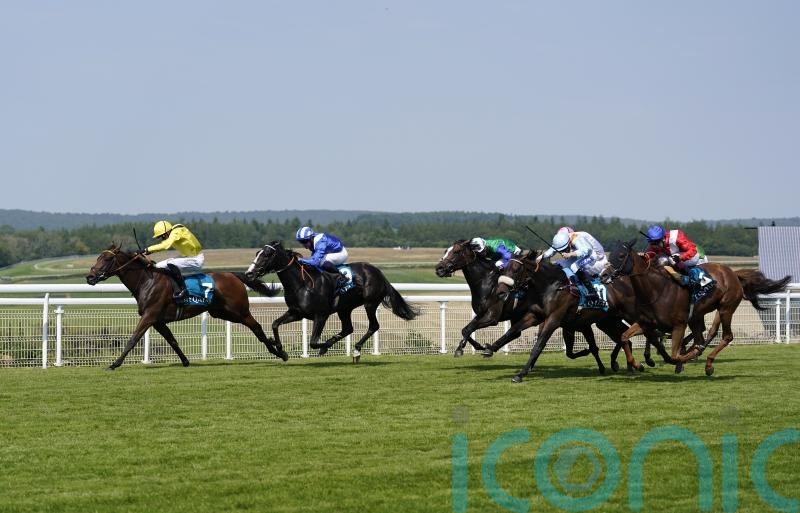 Raqiya gets Oak Tree prize in the stewards&rsquo; room