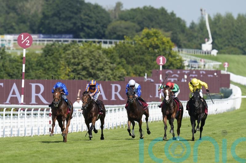 Haggas eyeing step up in trip for Maljoom