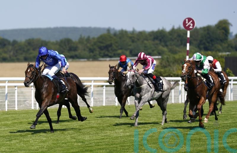 Exciting options open to Wolf Of Badenoch after Goodwood