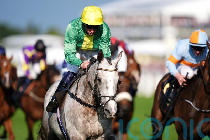 Flat possibilities open to Copper Horse winner Belloccio