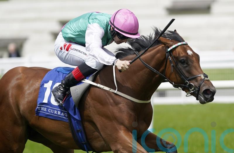 Lyons believes Babouche is good fit for Phoenix test