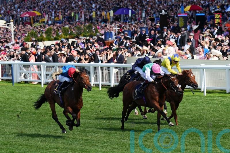 Haatem camp hopeful Deauville setback was only minor