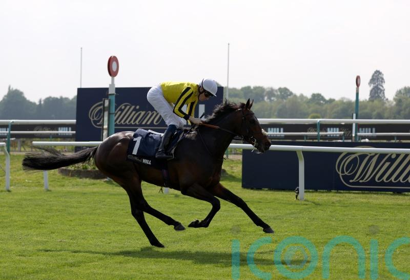 &lsquo;Everyone is so happy with him&rsquo; &ndash; Ambiente Friendly team counting down to York