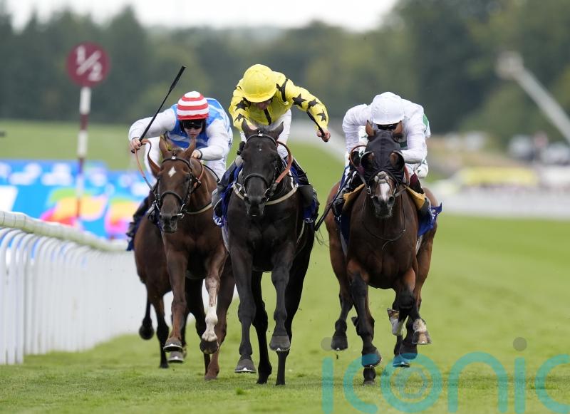 Align The Stars may take in York trip en route to St Leger