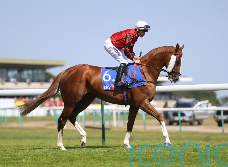 Fellowes pondering options for The Wizard Of Eye