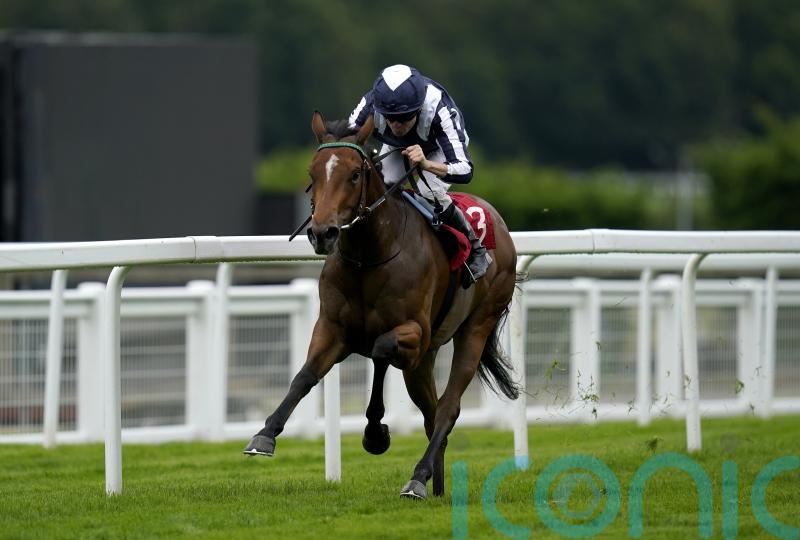 Plans on hold for Celestial Orbit after setback