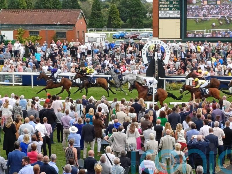 Fahey dominates Great St Wilfrid as Dare To Hope delivers