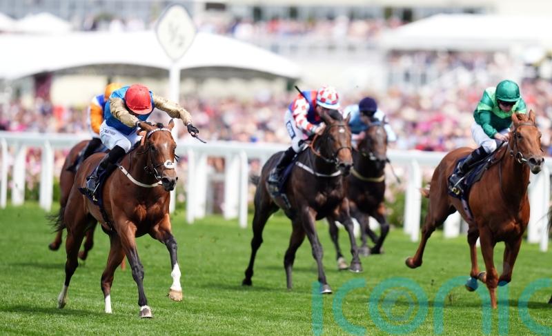 Shareholder will be coming back in trip after Morny disappointment