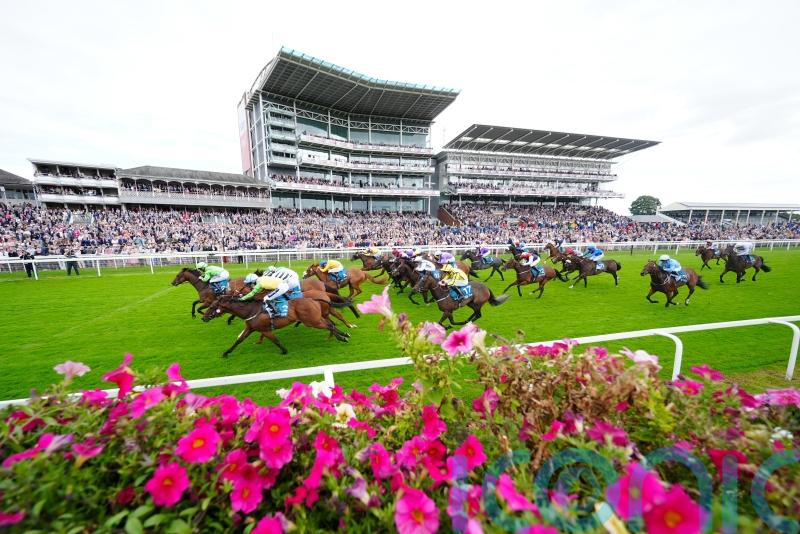 Jungle enjoys change of fortune in Ebor Festival opener