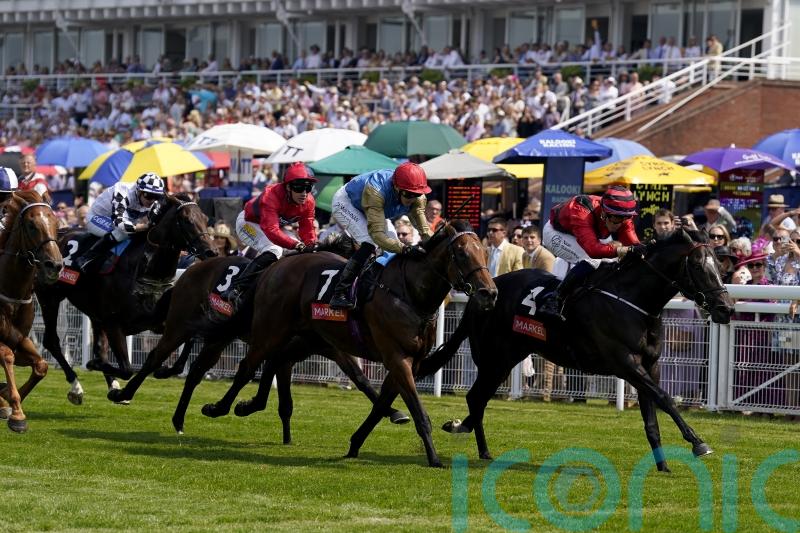 The Strikin Viking aiming to hit Gimcrack target