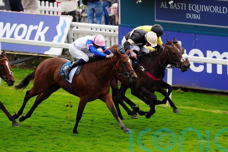 Five-star Alfa Kellenic has Lidster in York dreamland