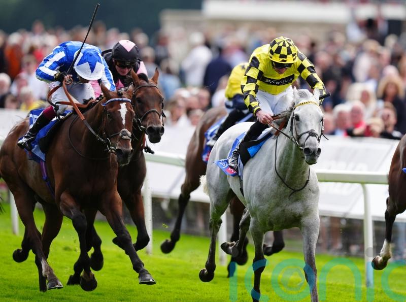 Shadow Dance confirms he is back on track