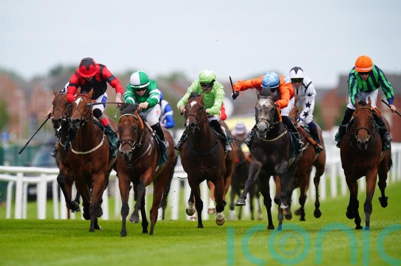 Eustace predicting bright future for Time For Sandals