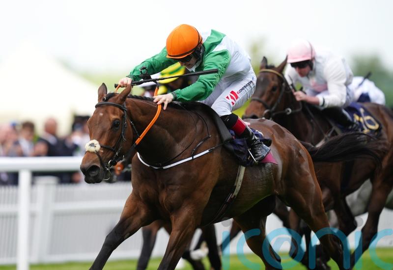 Setback ends Melbourne Cup dreams for Crystal Black this year