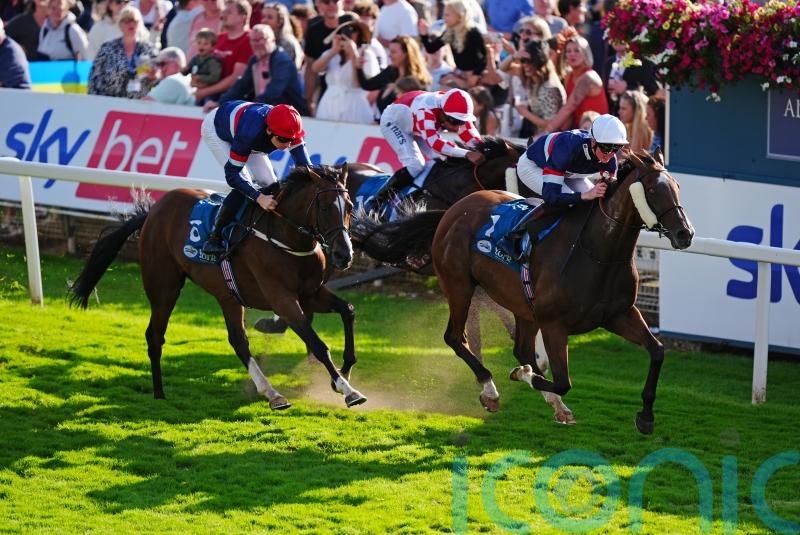 Remarkable Sir Busker back firing on all cylinders