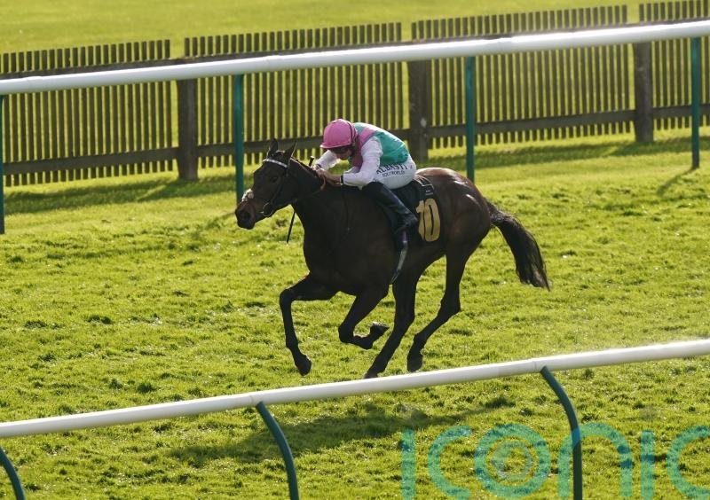 Kalpana can set up Champions Day outing with Kempton victory