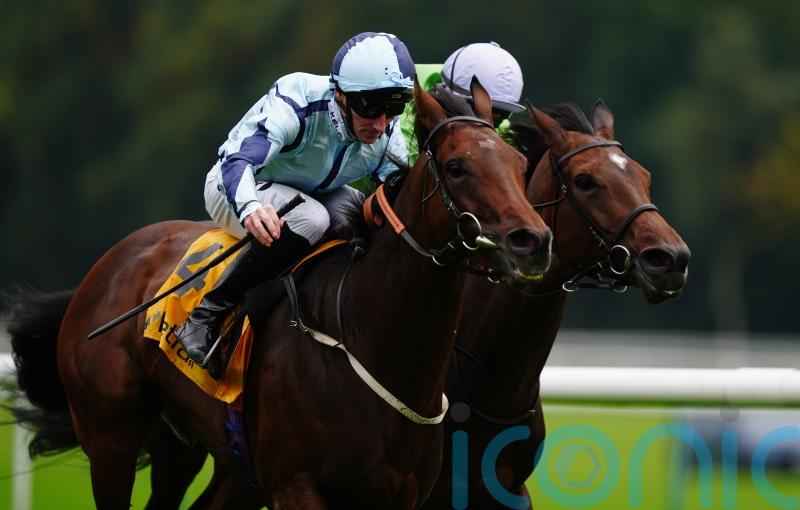 Epic Poet gets it all right in Old Borough Cup