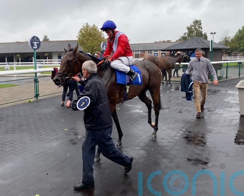 Formal-ity wholly appropriate for Stoute at Leicester