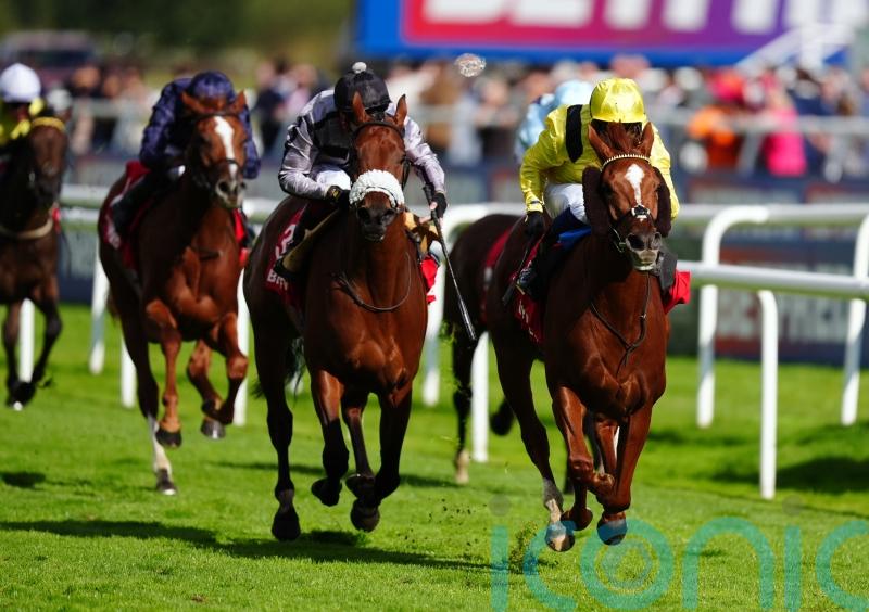 Nakheel gallops on gamely to plunder Park Hill spoils