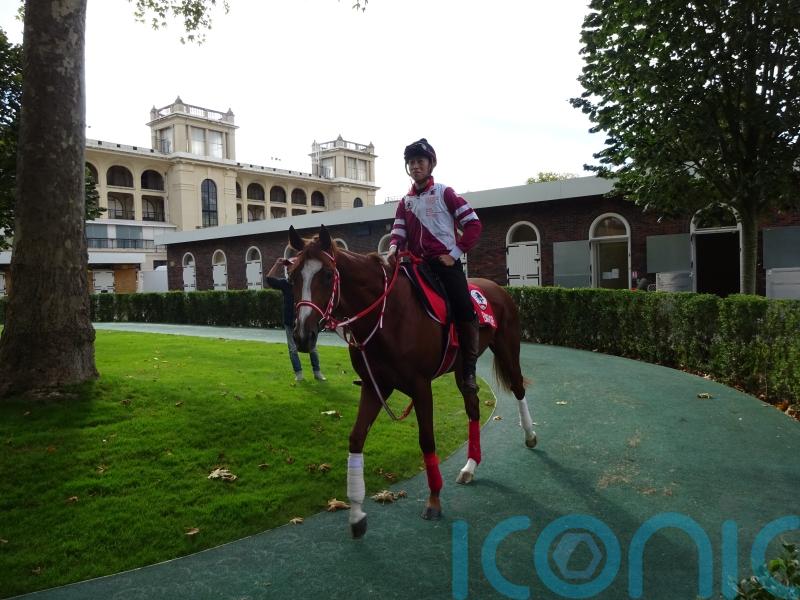 All systems go for Shin Emperor at Leopardstown