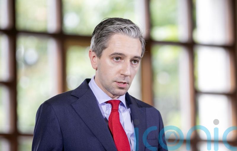 Irish Government &lsquo;won&rsquo;t be found wanting&rsquo; in helping to provide legacy answers