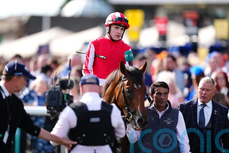 Bay City Roller rocks in Champagne Stakes