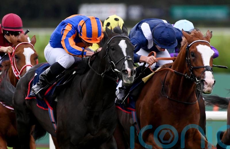 &lsquo;Proper warrior&rsquo; Economics passes big test with Irish Champion Stakes glory