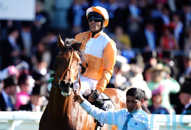 Paris the next stop for Meehan&rsquo;s Jayarebe