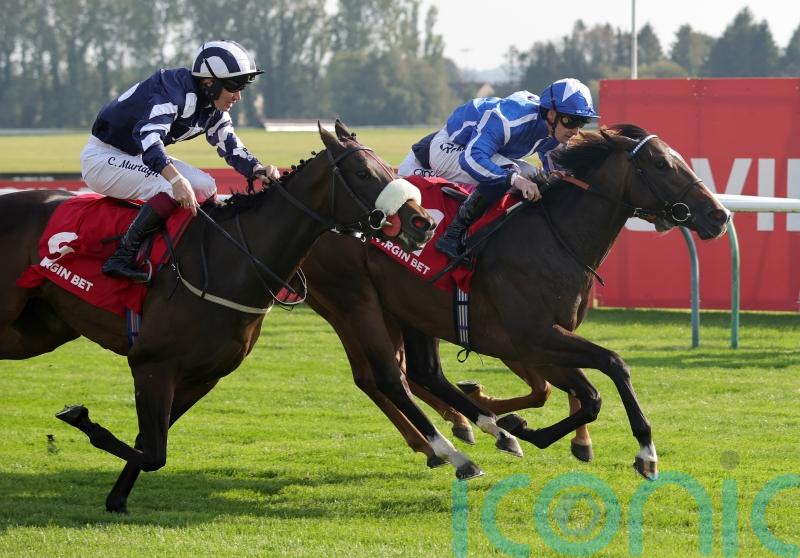 Sky Majesty reigns for Haggas at Ayr