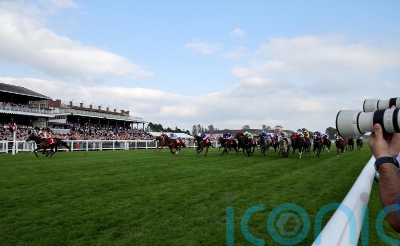 Lethal Levi leads Burke domination in Ayr Gold Cup