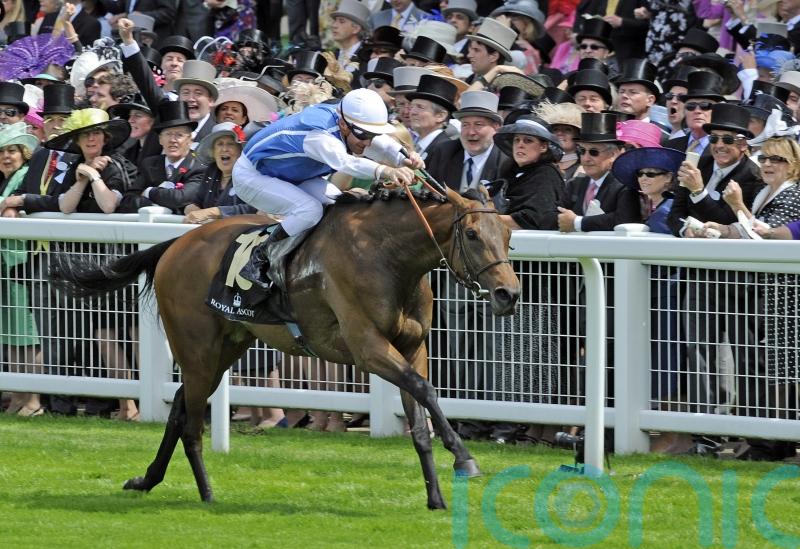 Goldikova honoured with Hall of Fame entry