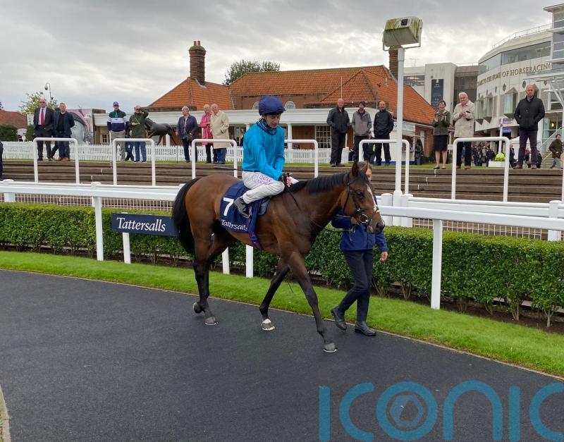 The Waco Kid powers to Tattersalls triumph