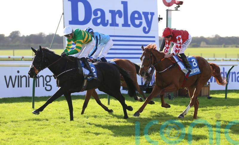 The Shunter set to defend Cesarewitch title