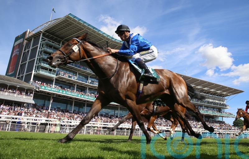 Anmaat in rude health as he bids for Prix Dollar repeat