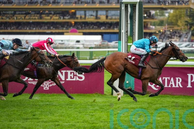 Makarova magic seals Abbaye success