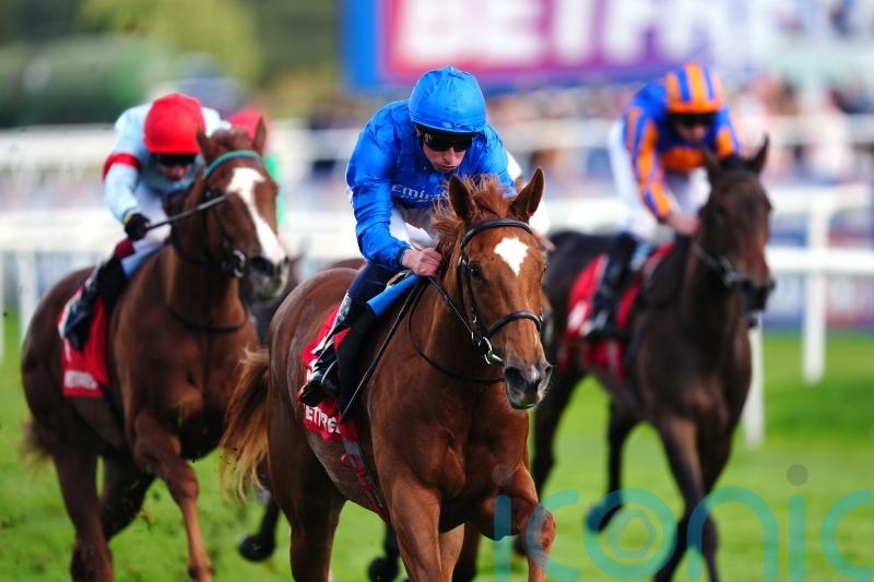 Appleby backing Desert Flower to bloom at Newmarket