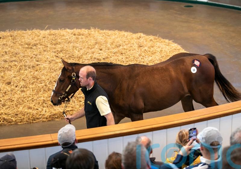 Joorabchian swoops for Frankel yearlings to make waves at Tattersalls