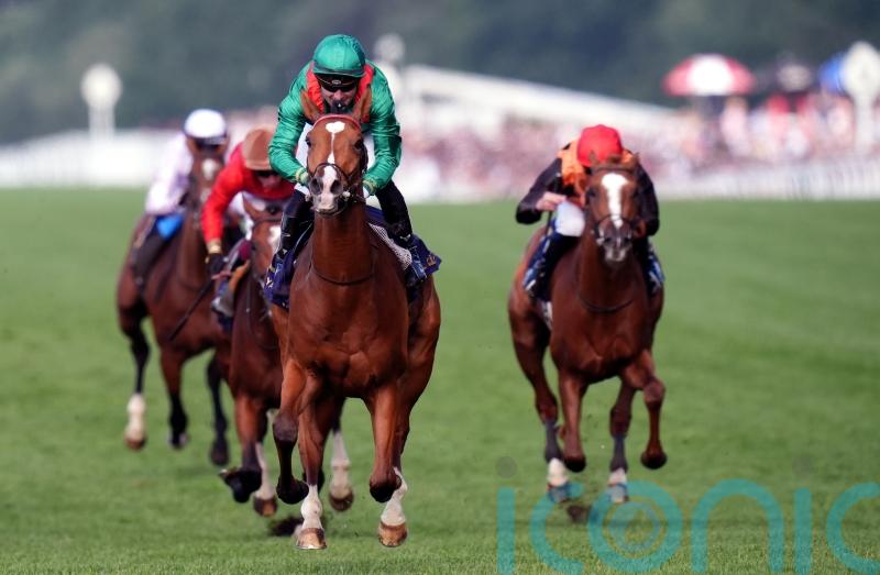 Calandagan all set for Champion Stakes clash with Economics