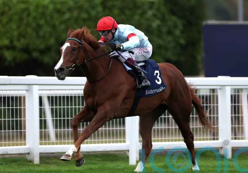 Sangster hoping Flight can take off in Oh So Sharp