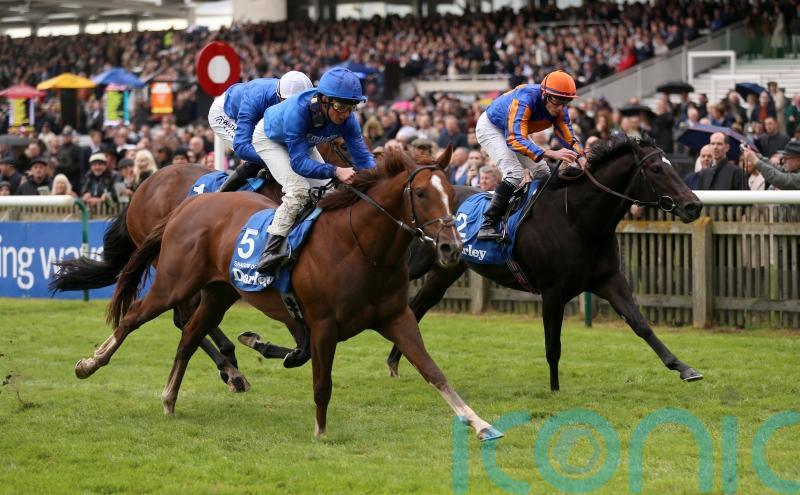 Shadow Of Light storms home to shade tight Dewhurst tussle