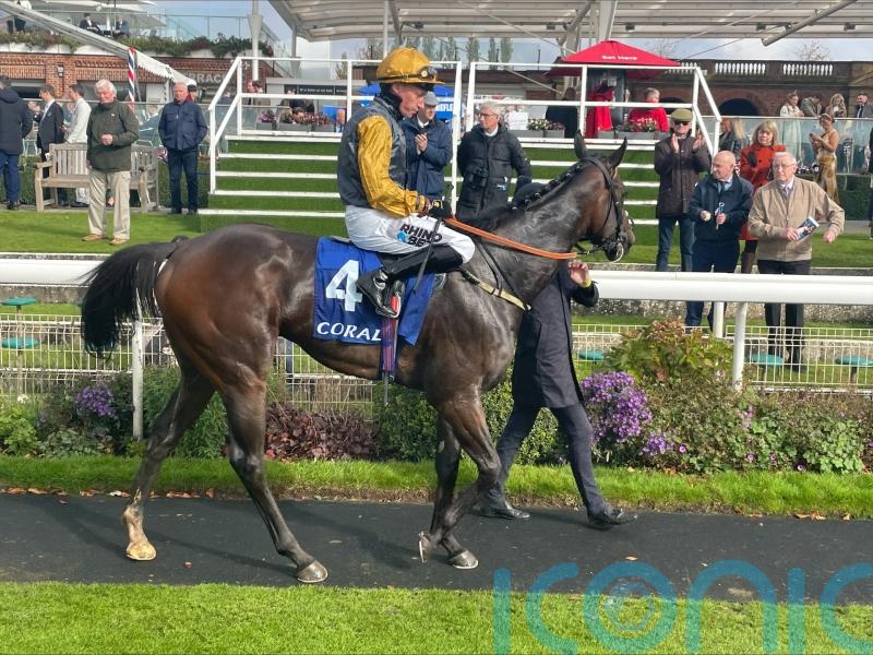 Jonny Bairstow bowled over by Jungle Drums bravery