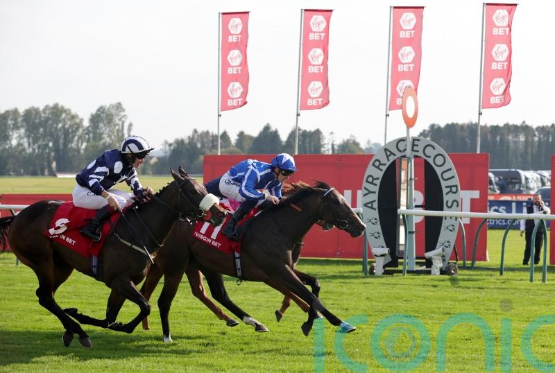 Chantilly ace Sky Majesty given lofty sprint targets