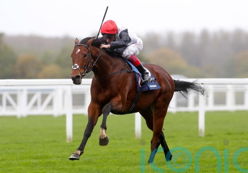 Regally-bred newcomers put Friday focus on Doncaster