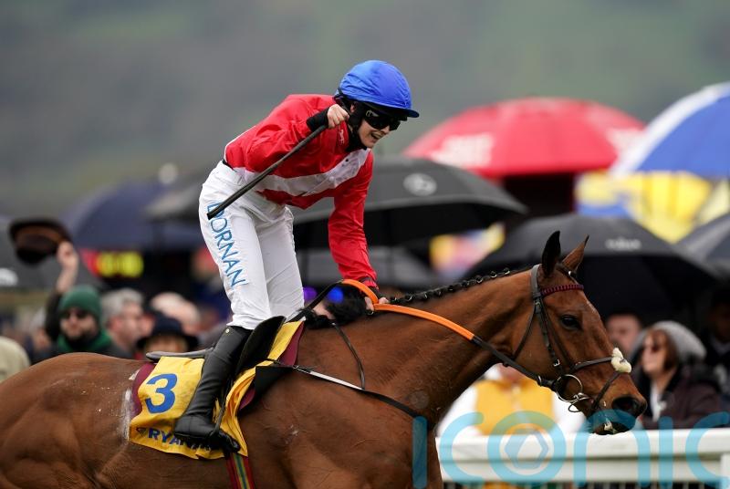 Envoi Allen ready for Down Royal return