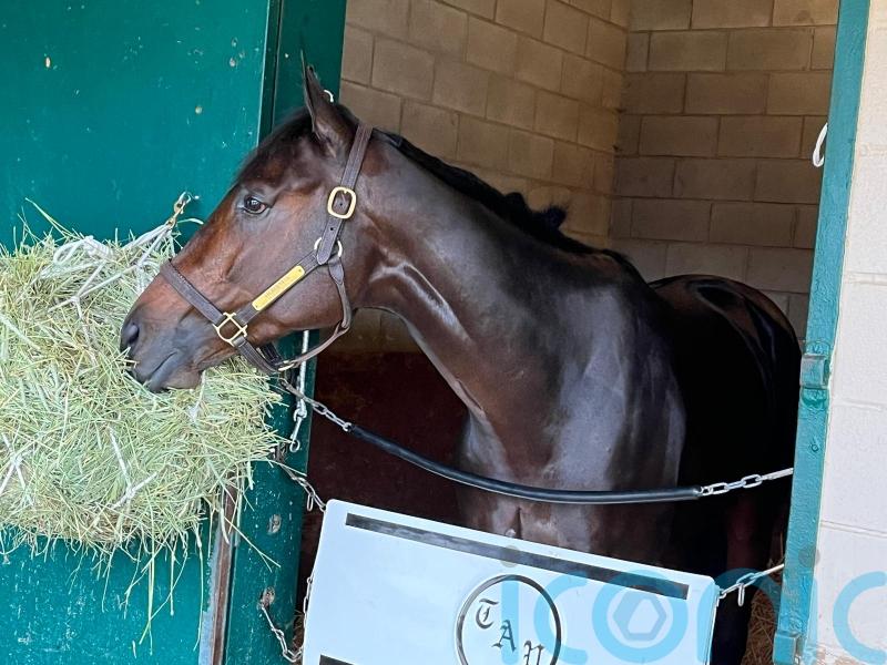 Pletcher backing Fierceness to topple Troy in Classic clash