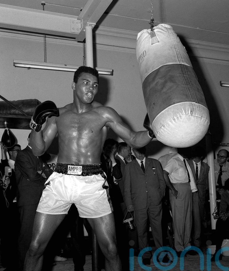 Rumble in the Jungle: 50 years since the most famous fight in boxing history