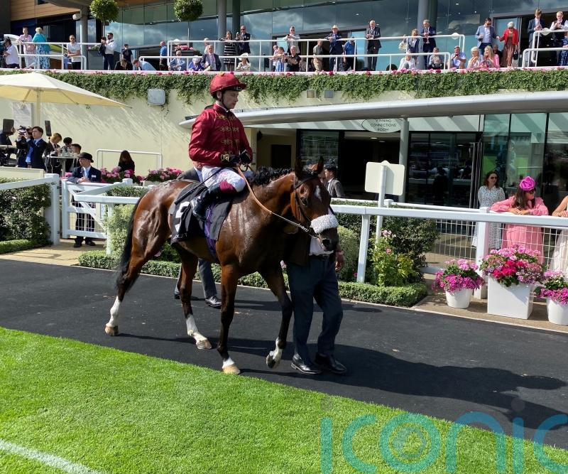 Murphy has high hopes for Breeders&rsquo; Cup duo