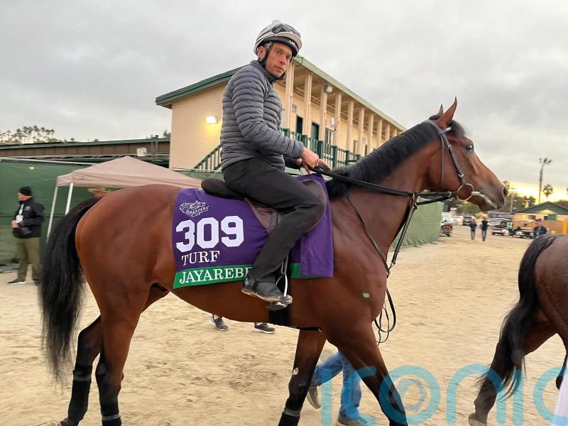 Meehan eyeing more Breeders&rsquo; Cup Turf glory with Jayarebe