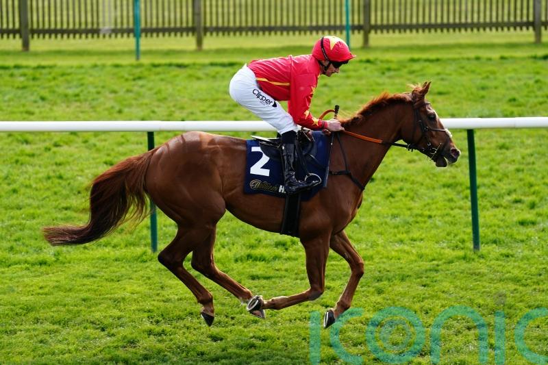 Nicol backing Wise Eagle to soar in November Handicap