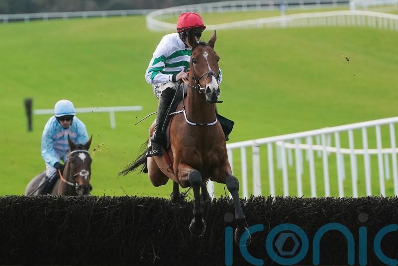 American Mike headlines another strong Troytown team for Gordon Elliott